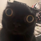Coal_Boi's Avatar'