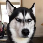 Blitzkriegz.'s Avatar'