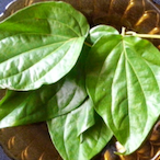 II-BiiGPL4YA-II's Avatar'