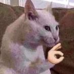 McYeetus121's Avatar'