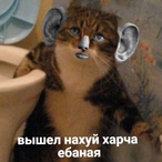 hushetskiy's Avatar'