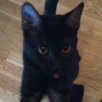 bit.min's Avatar'