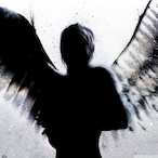 Shadow--_--'s Avatar'