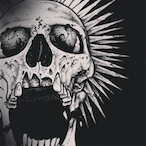 skully311's Avatar'