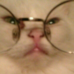 Bogomol_2324's Avatar'