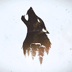 Recluse_Gamer's Avatar