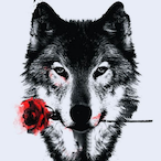 O---JOKER---O's Avatar'