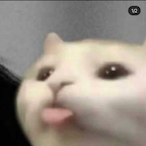 xXlilmeowmeowXx's Avatar'