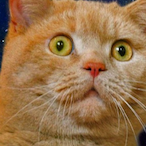 VictorZqne's Avatar'