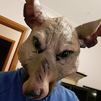 Binned.RTX3090's Avatar