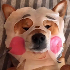 BaBuBaBu_'s Avatar'
