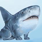 iB-Zeralicious's Avatar