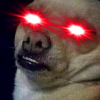 dogs_p's Avatar'