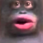 ohToax's Avatar'