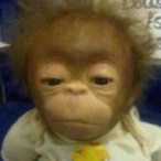 ApoRedsKonto's Avatar'