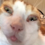 ilovemycomputer's Avatar'