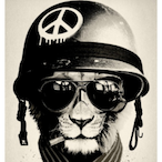 Aguaepipa's Avatar'