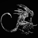 SecsCi's Avatar'