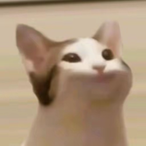 Sretno.'s Avatar'