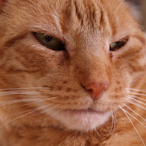 jxryzi's Avatar'