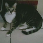 ZTL riley's Avatar'