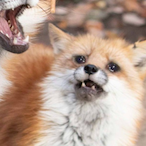 IluhXlM6833's Avatar'