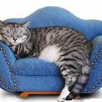 CuchieCouch's Avatar'