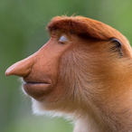 Djemonds's Avatar'