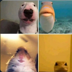 arctic.......'s Avatar'