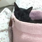 IDragon75's Avatar'