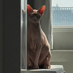 KurtzJLA's Avatar'