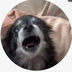 terixz on IG's Avatar'