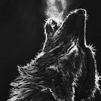ReigninWolf's Avatar'