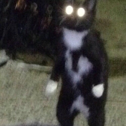 Grimpet
