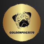 G0ldenpug's Avatar'