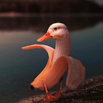 Sgt_Banana_Duck's Avatar'