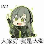 UMP...40's Avatar'