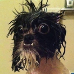 Thomas21404's Avatar