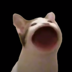 POP_CAT_0O0's Avatar'