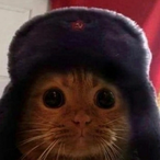 PuQmac's Avatar'