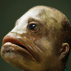 Brtgfdcx's Avatar'
