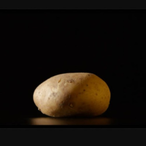 potato_lord_'s Avatar'