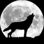 h0well_cs's Avatar'