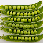Peas_BTW's Avatar'