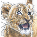 MONTALIOON's Avatar'