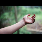 WetChiropractor's Avatar'