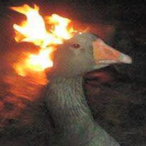 Gooselord_Prime's Avatar'