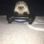 Domingos_510's Avatar'