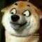 Dear_Mr.Zhai's Avatar'