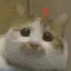 DMA.DMA.DMA.DMA's Avatar'